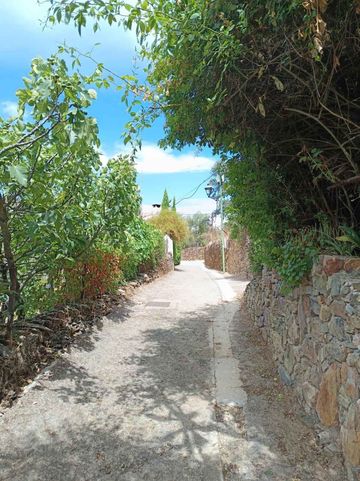Casa Rural El Olivo Aracena Extérieur photo