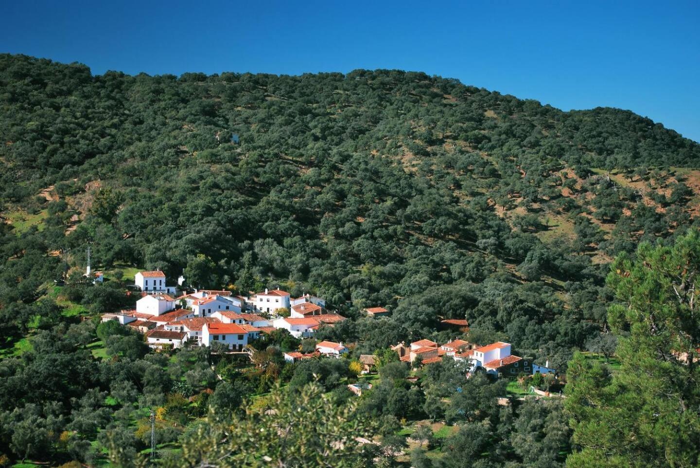 Casa Rural El Olivo Aracena Extérieur photo